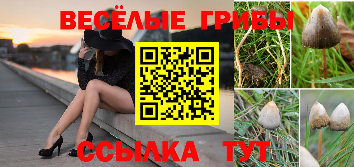 Грязи  Галлюциногенные грибы Psilocybine cubensis  Галлюциногенные грибы ЛСД  Вход с VPN 